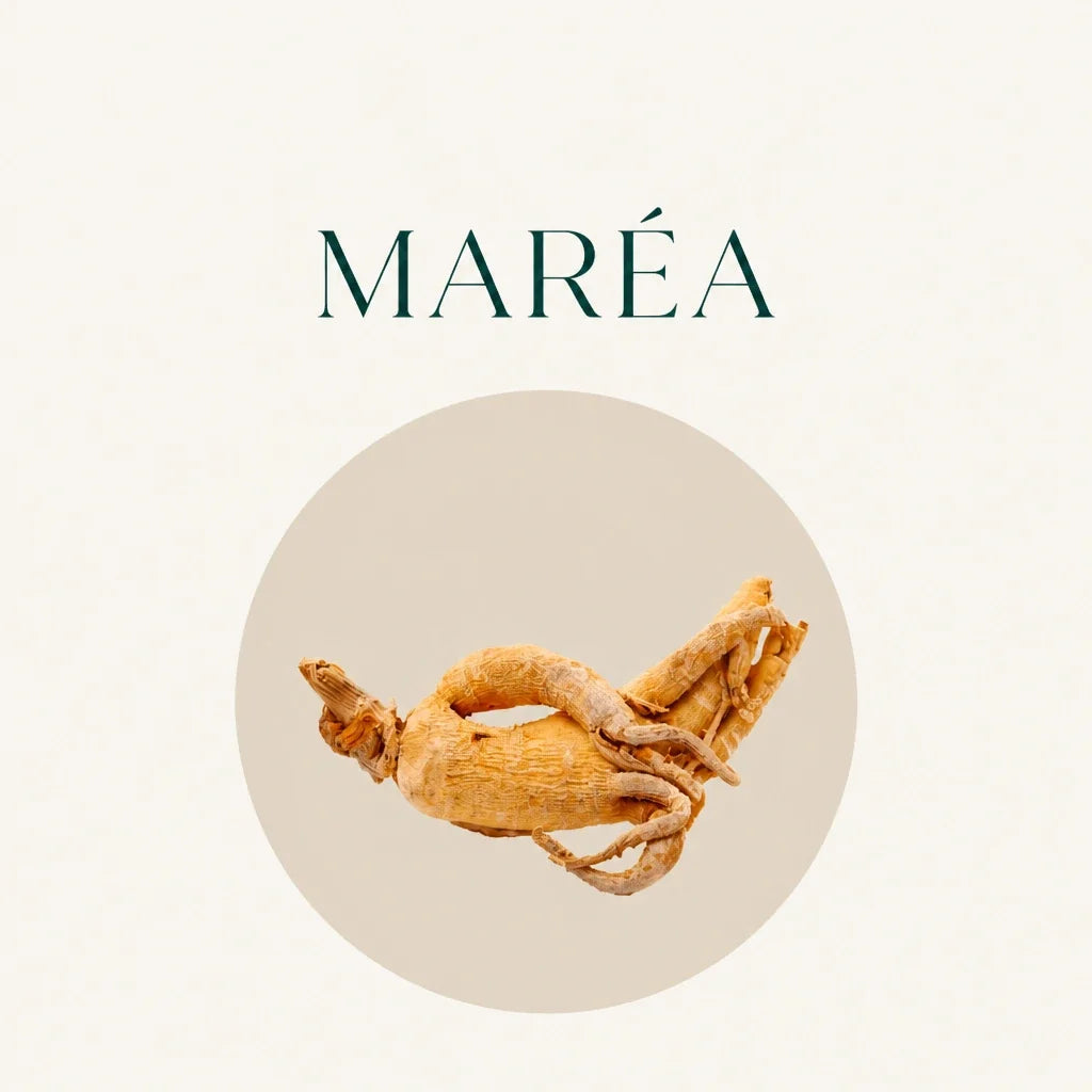 Maréa Harmonie - ginseng de Sibérie