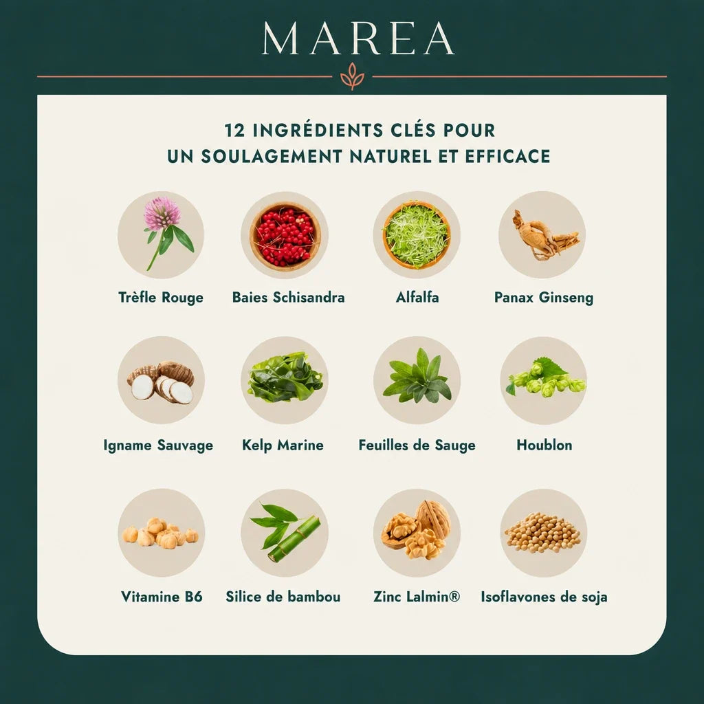 Maréa Harmonie - 12 ingrédients clés