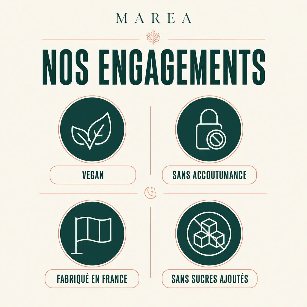 Maréa Sommeil LP - engagements