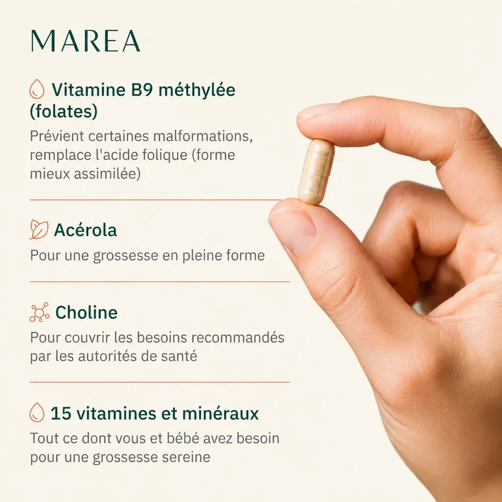 Maréa 9 Mois - ingrédients