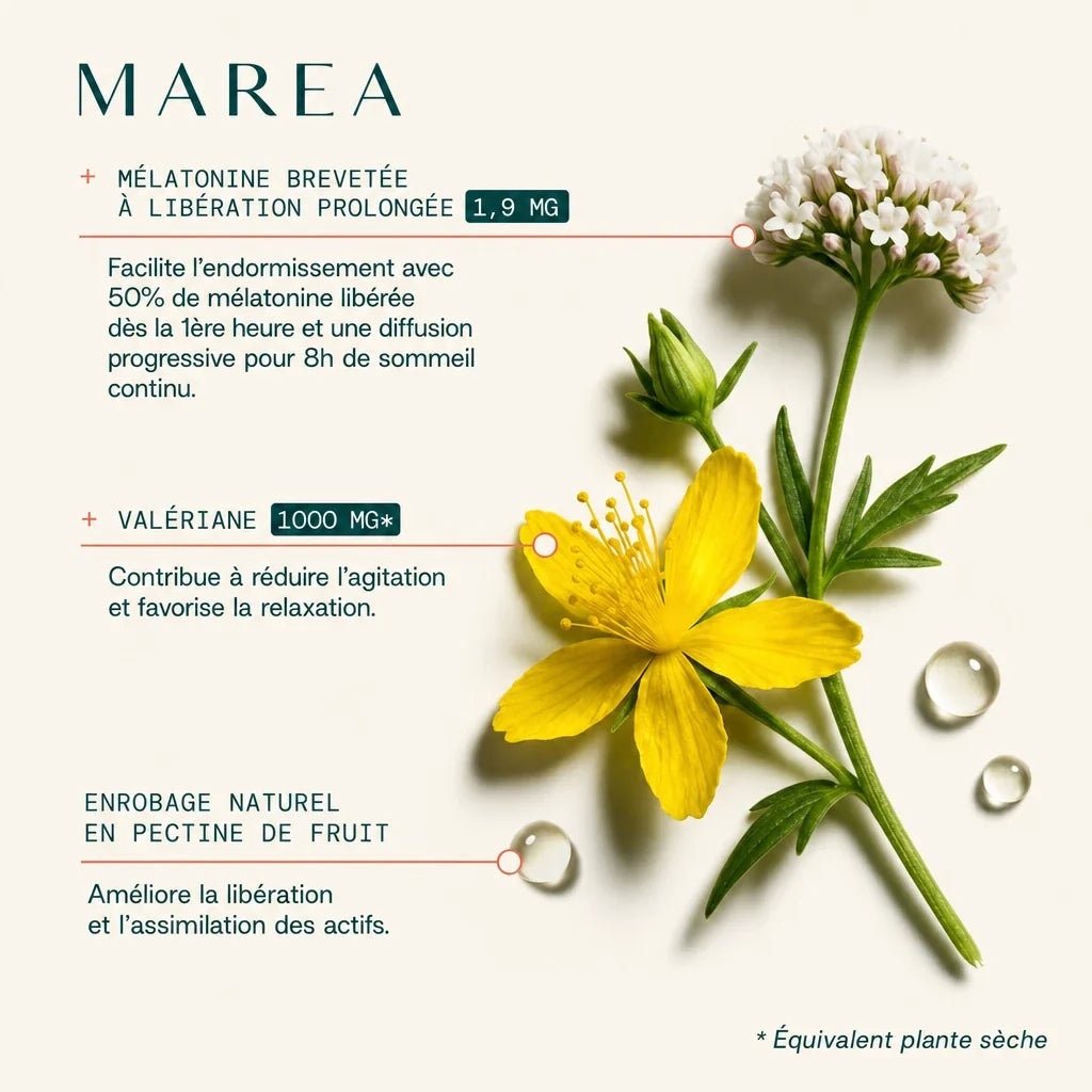Maréa Sommeil LP - composition